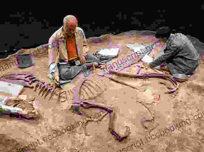 A Group Of Modern Day Paleontologists Excavating A Fossil Site The Second Jurassic Dinosaur Rush: Museums And Paleontology In America At The Turn Of The Twentieth Century