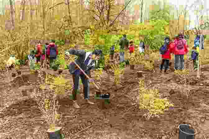 A Group Of People Planting Trees In A Community Garden The Gift Of Giving Life: Rediscovering The Divine Nature Of Pregnancy And Birth