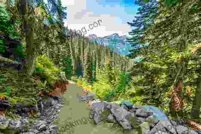 A Hiker Walking Along A Scenic Mountain Trail With Stunning Views Of The Surrounding Landscape The Old Ways: A Journey On Foot (Landscapes 3)