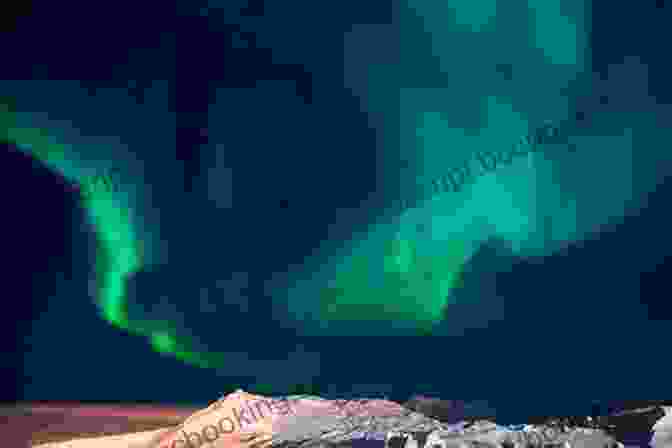 A Photo Of The Aurora Borealis Over Alert, Nunavut, With A Snow Covered Landscape In The Foreground. The Fox The Wolf And The Zoo: My Dark Winter Tour Of Alert Nunavut