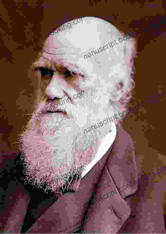 A Portrait Of Charles Darwin Creation (Movie Tie In): Darwin His Daughter Human Evolution
