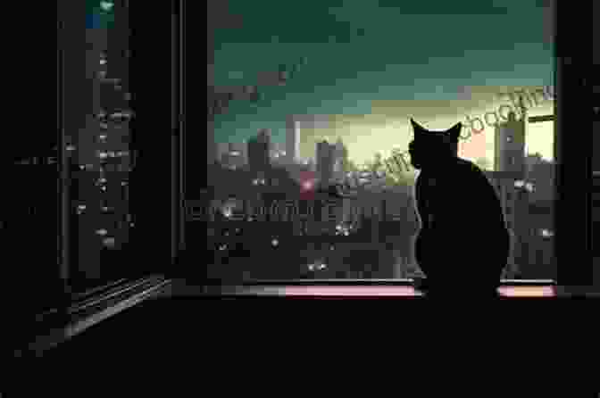 A Sleek Black Cat Resting On A Windowsill, Gazing Out At The City Lights Draw And Paint 50 Animals: Dogs Cats Birds Horses And More