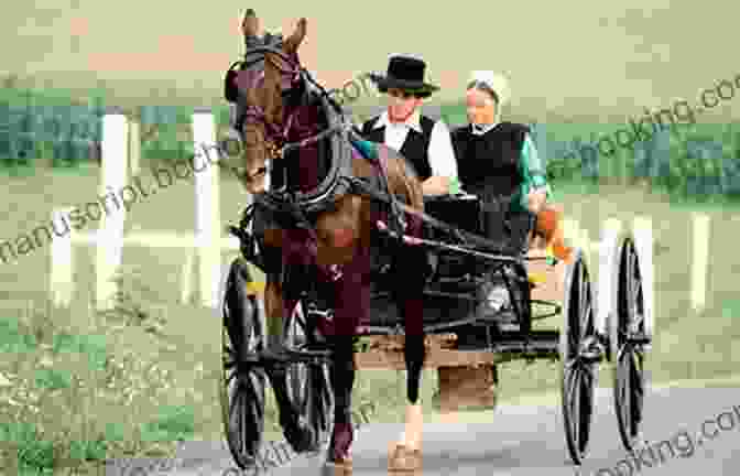 Amish Couple Walking Through A Field With A Horse And Buggy In The Background Explorer S Guide Philadelphia Amish Country (First) (Explorer S 50 Hikes)