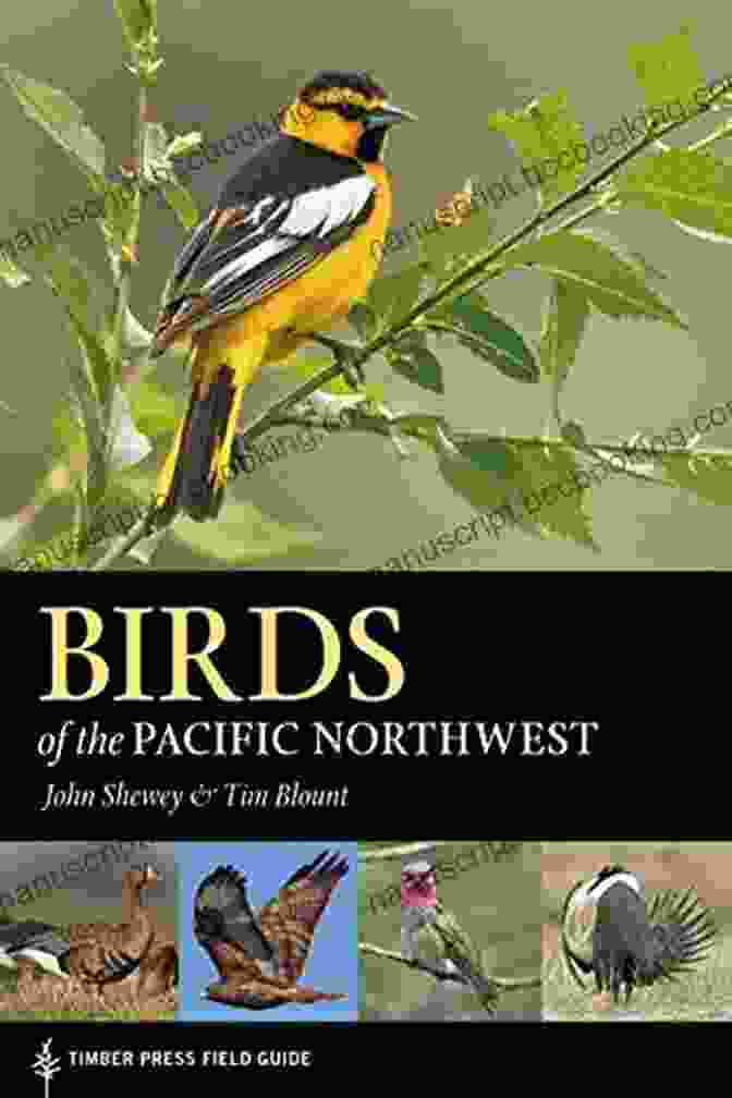 Birds Of The Pacific Northwest Field Guide: A Comprehensive Guide To The Birds Of Washington, Oregon, Idaho, And British Columbia Birds Of The Pacific Northwest (A Timber Press Field Guide)