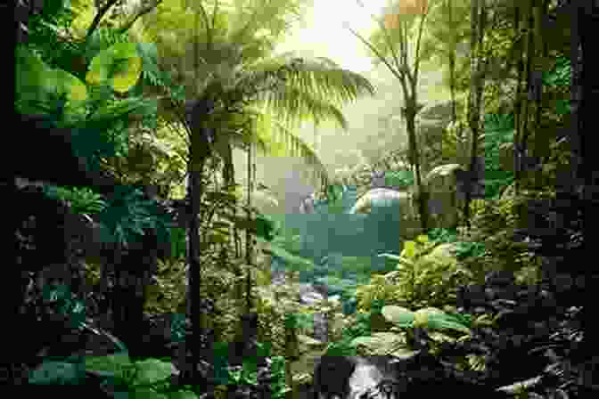 Environmental Art Of A Lush Jungle, With Towering Trees, Vibrant Foliage, And Hidden Pathways, Annotated With Insights Into The Design And Vegetation Choices. The Art Of The Uncharted Trilogy