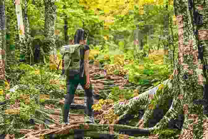 Hiking In A Forest Lagom: The Swedish Art Of Balanced Living