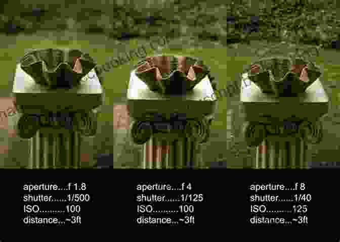 Image Demonstrating The Effects Of Different Aperture Settings On Depth Of Field Locksmith Tips Pro Edition: A Valuable Resource For Professionals And Amateurs Alike