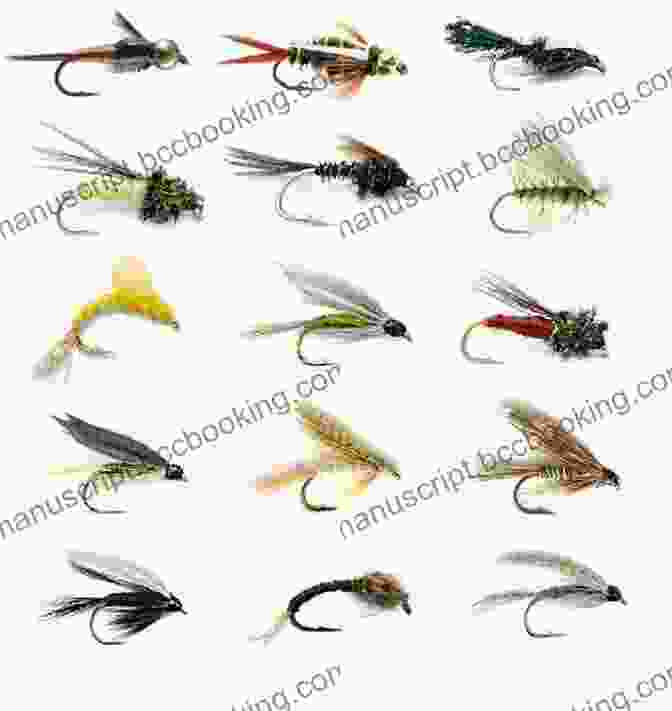 Image Of A Fly Pattern Wade Fishing The North Branch Of The Potomac: Including The Casselman Savage Youghiogheny And Trout Streams (CatchGuide 4)