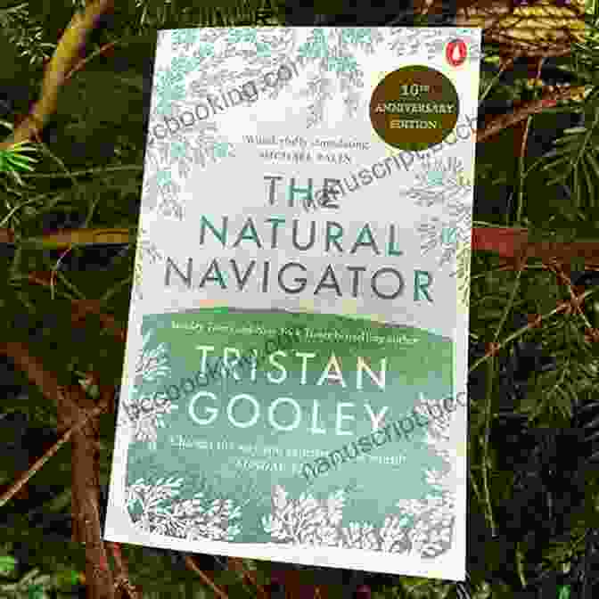 Natural Navigation Book Cover How To Read Nature: Awaken Your Senses To The Outdoors You Ve Never Noticed (Natural Navigation)