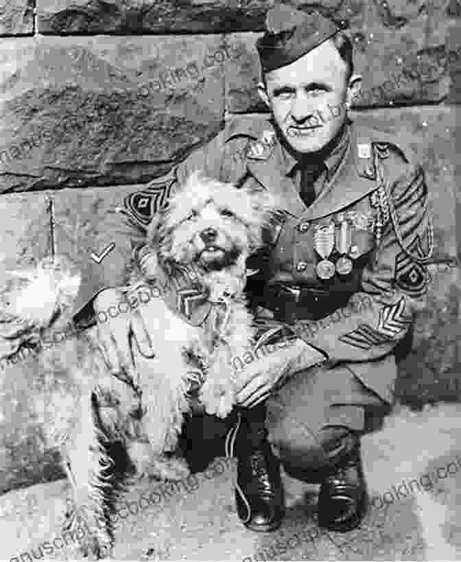 Rags, A Small Terrier Mix, Stands Proudly In A Trench During WWI Rags: Hero Dog Of WWI: A True Story