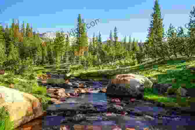 Serene Scene Of Tuolumne Meadows, Surrounded By Towering Peaks Pacific Crest Trail: Southern California: From The Mexican BFree Download To Tuolumne Meadows