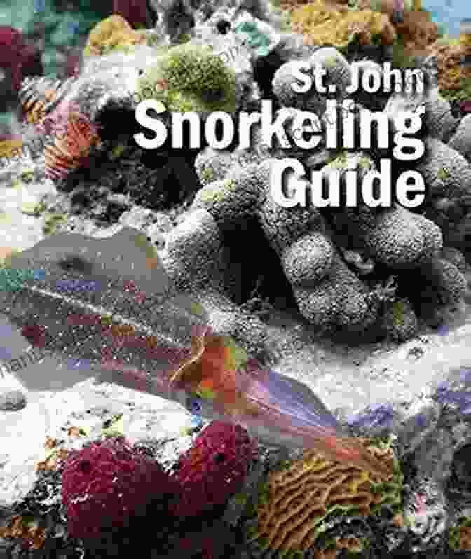 St John Snorkeling Guide 2nd Edition Cover St John Snorkeling Guide: 2nd Edition