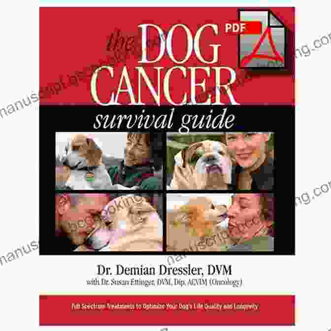 The Dog Cancer Survival Guide Book Cover The Dog Cancer Survival Guide: Full Spectrum Treatments To Optimize Your Dog S Life Quality And Longevity