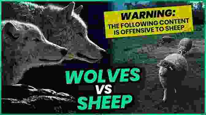 The Wolf Revealed Its True Nature And Attacked The Sheep The Wolf In Sheep S Clothing (Aesop S Fables)