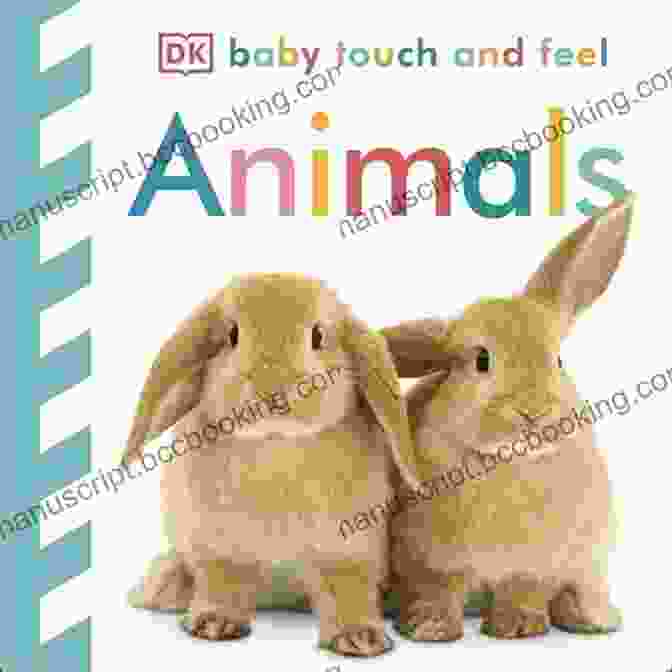 Touch And Feel Baby Touch And Feel Book Easter Bunny: Touch And Feel (Baby Touch And Feel)