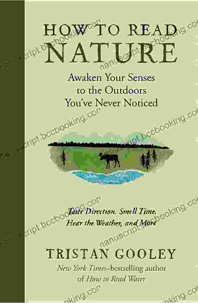 Tristan Gooley How To Read Nature: Awaken Your Senses To The Outdoors You Ve Never Noticed (Natural Navigation)