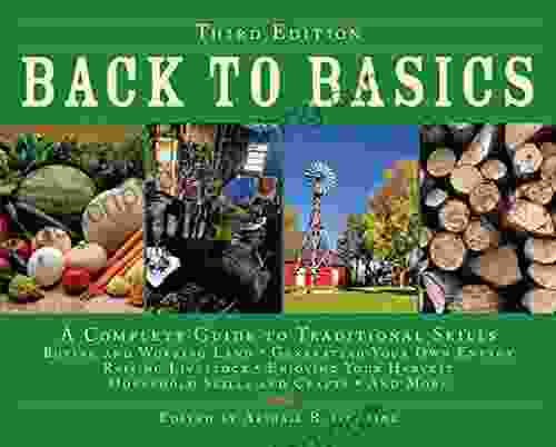Back To Basics: A Complete Guide To Traditional Skills (Back To Basics Guides)
