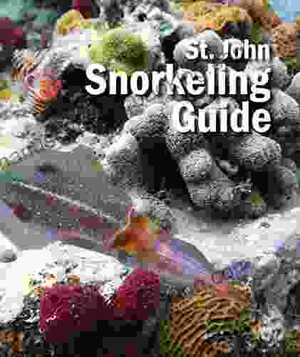 St John Snorkeling Guide: 2nd Edition