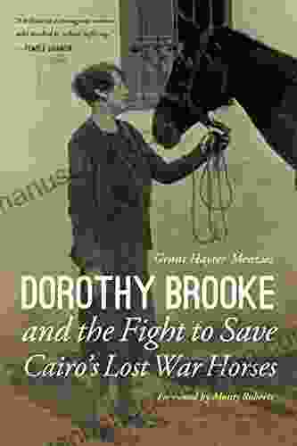 Dorothy Brooke And The Fight To Save Cairo S Lost War Horses