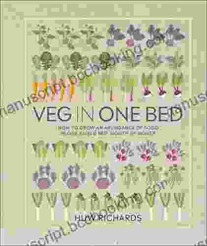 Veg In One Bed: How To Grow An Abundance Of Food In One Raised Bed Month By Month