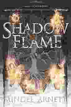 Shadow Flame Mindee Arnett