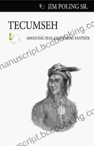 Tecumseh: Shooting Star Crouching Panther (Quest Library (Dundurn Press))