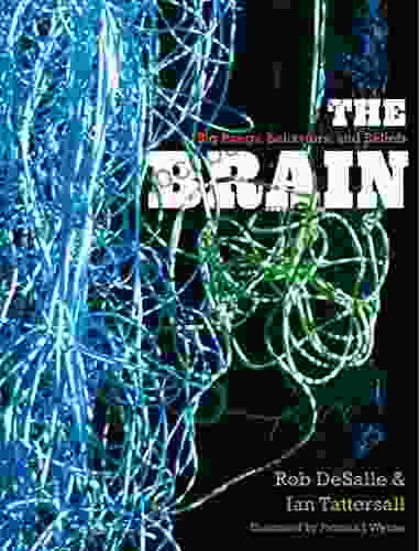 The Brain: Big Bangs Behaviors And Beliefs