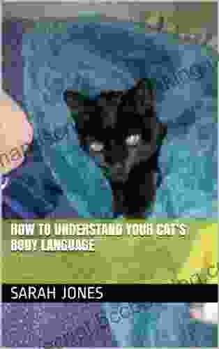 How To Understand Your Cat S Body Language