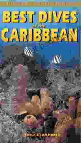 Best Dives Of The Caribbean